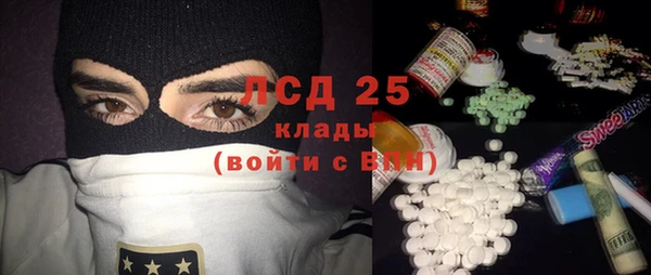 a pvp Бородино