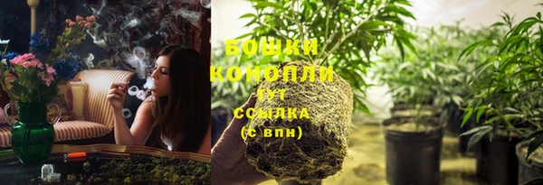 прущие грибы Волосово