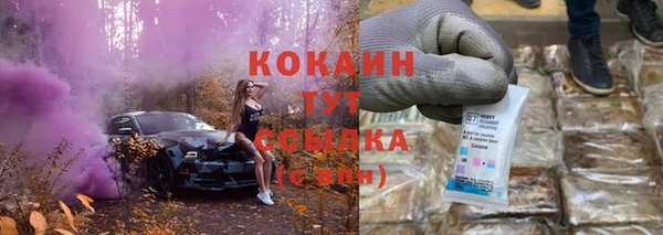 прущие грибы Волосово
